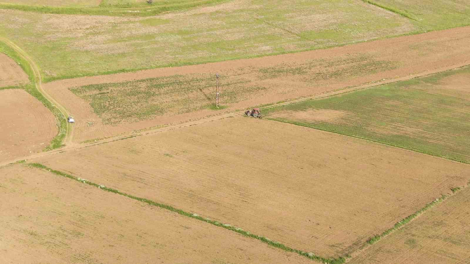 destekler aycicegi ekimini arttirdi corak araziler sariya burunecek 3 531a5SjR