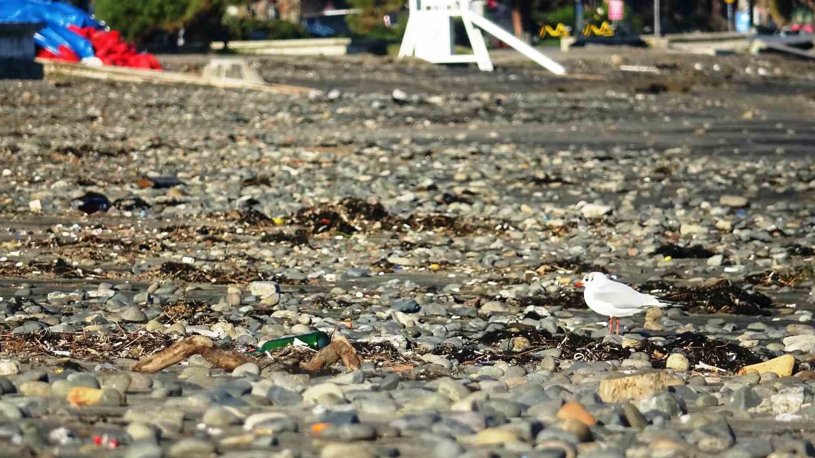dev dalgalarin ardindan samsun sahilinde tasli manzara 1