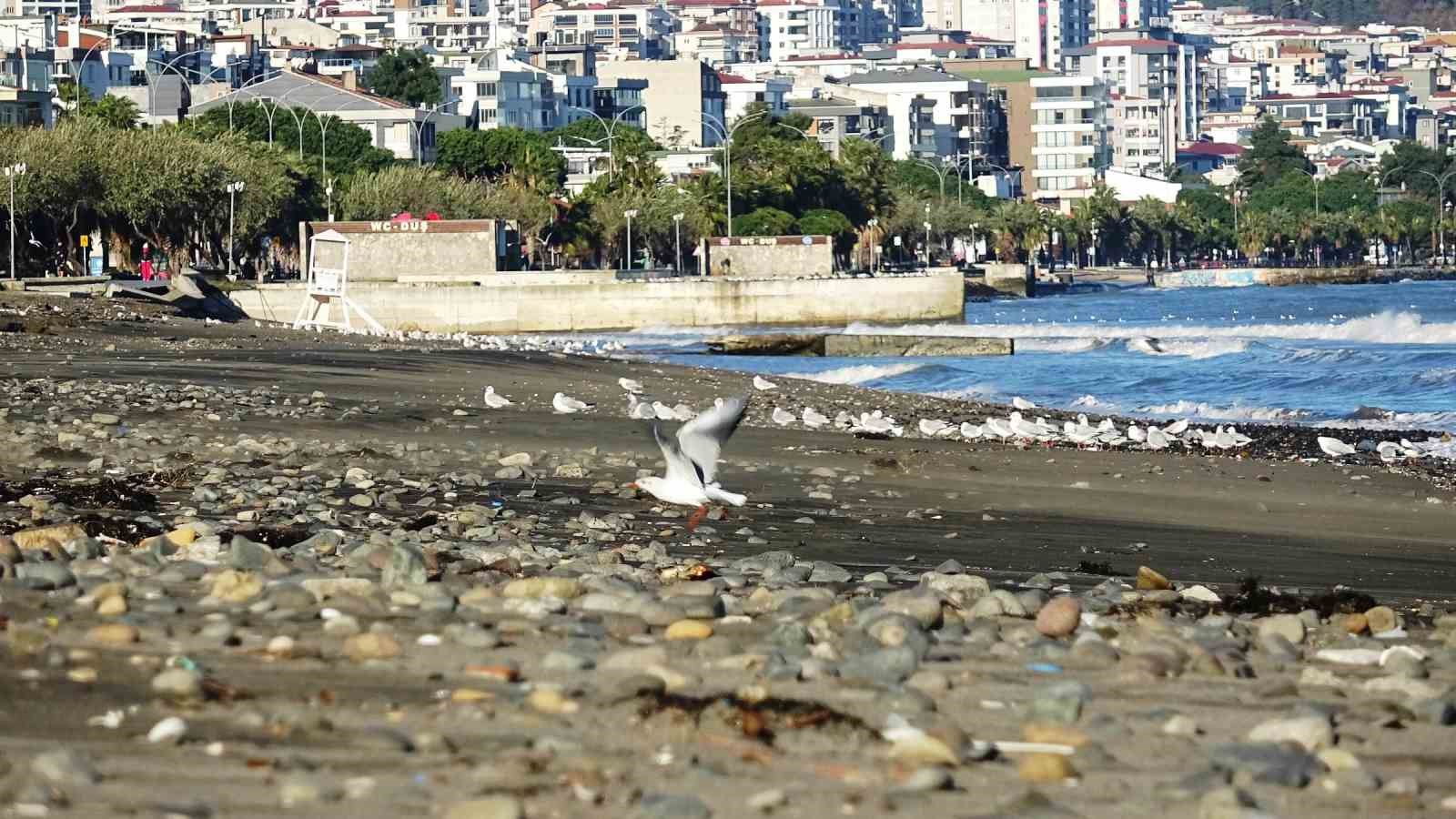dev dalgalarin ardindan samsun sahilinde tasli manzara 6 iwPyRZeP