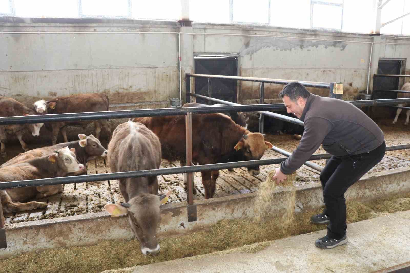 devlet destegi ile kurdugu akilli ahir projesiyle verimliligi artirdi 3 p7Ogsnb6