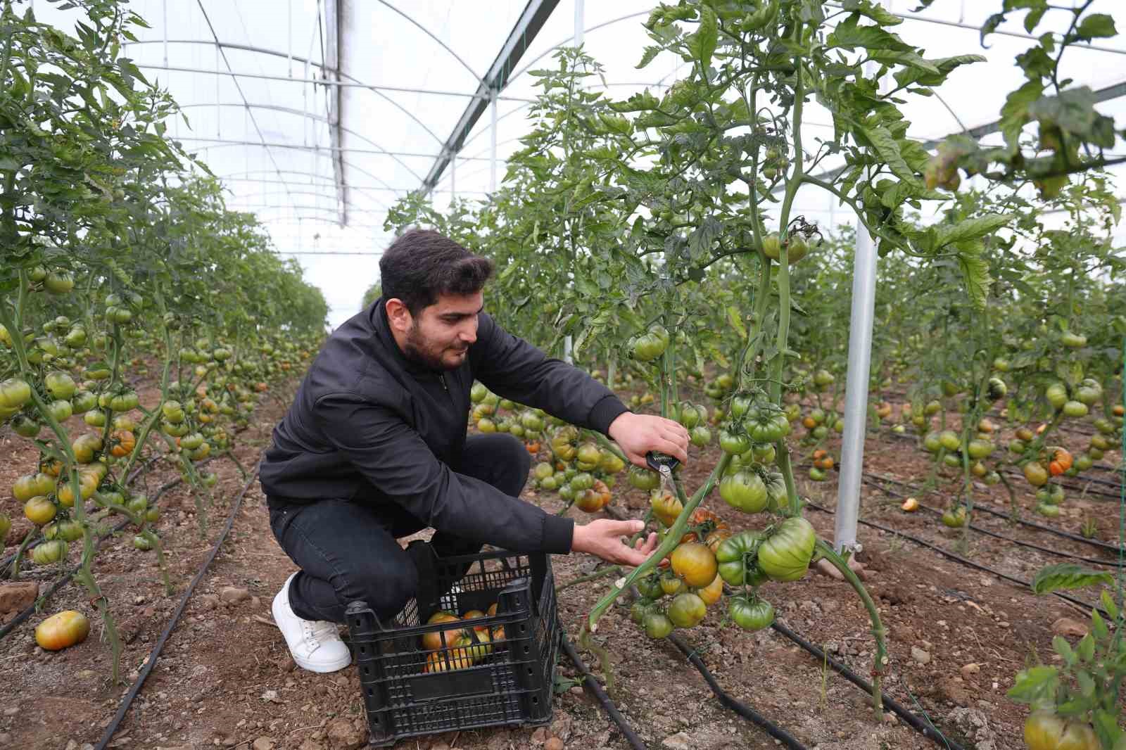 devlet destegiyle kendi islerinin sahibi oldular uretime basladilar 5 1ZnYnMUd