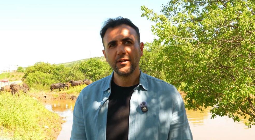 devlet destekleriyle diyarbakirda manda sayisi 21 bin 500e ulasti 1 Qfks5rIc