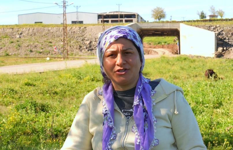 devlet destekleriyle diyarbakirda manda sayisi 21 bin 500e ulasti 2