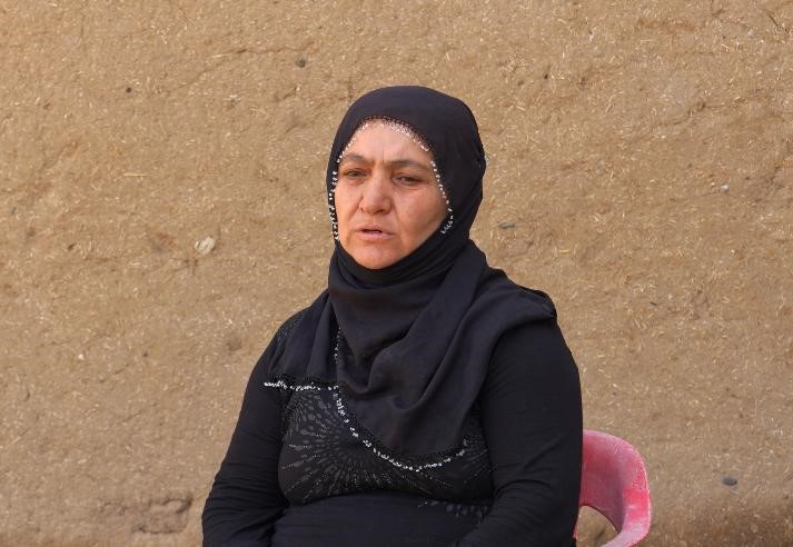devlet destekleriyle diyarbakirda manda sayisi 21 bin 500e ulasti 3 5ajS4Nav