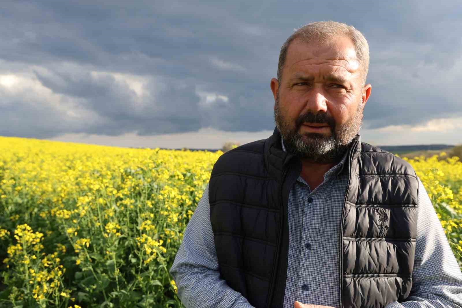 devlet destekli kanola uretimi adanali ciftcinin yuzunu guldurdu 3 43yg2B9W