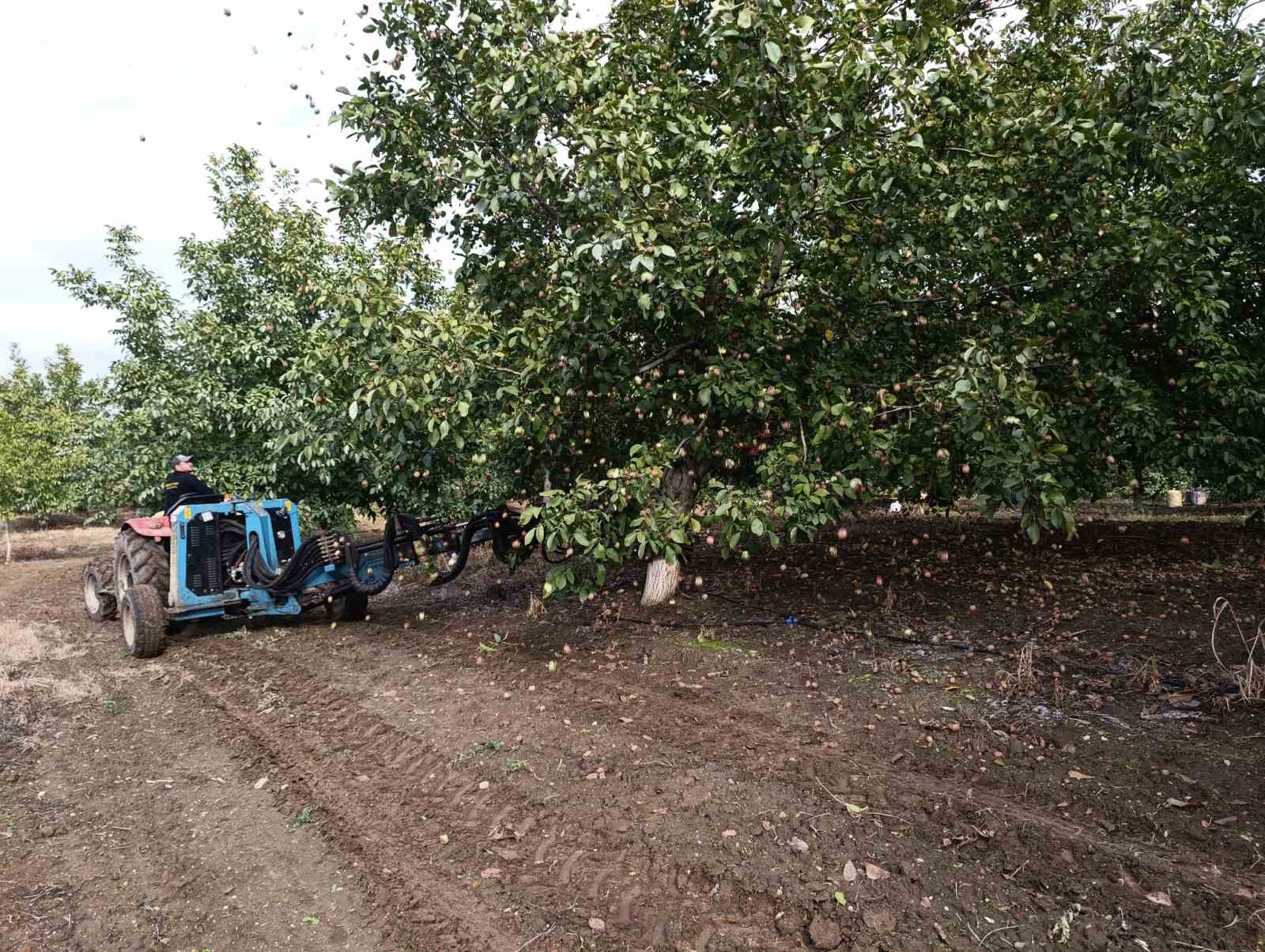 devletten 49 yilligina bedelsiz kiralanan arazilerde ceviz bereketi 2 1IaLB49G