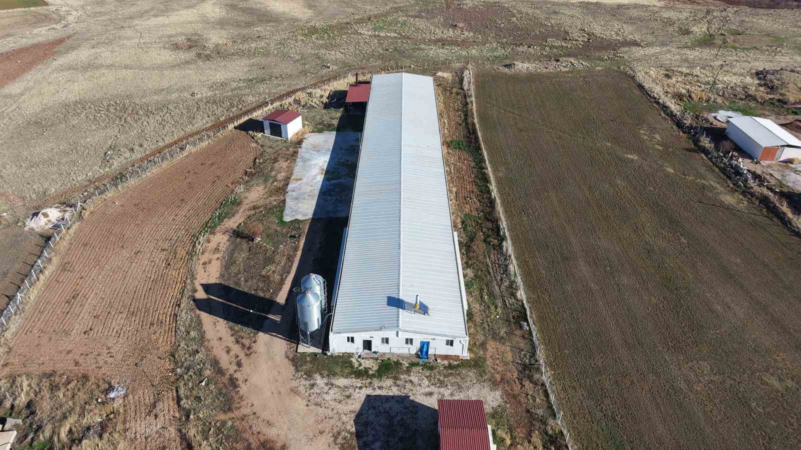 devletten aldigi destekle ikinci ciftligini acti 3 szEHbcfB