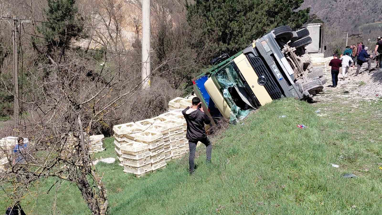 devrilen kamyondan surucu kurtuldu onlarca tavuk telef oldu 0 9VGftFUm