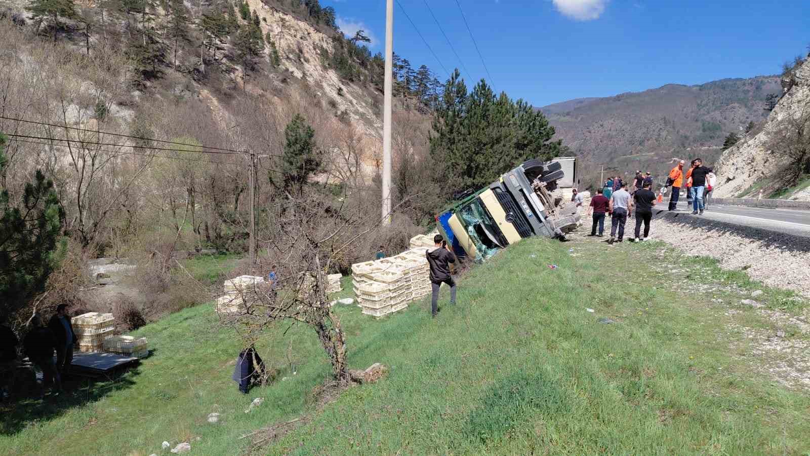 devrilen kamyondan surucu kurtuldu onlarca tavuk telef oldu 1