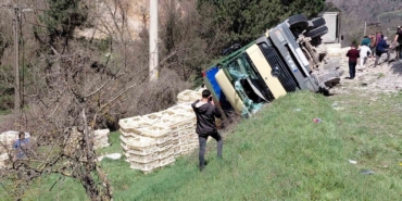 devrilen-kamyondan-surucu-kurtuldu-onlarca-tavuk-telef-oldu-MeIJ2wip.jpg