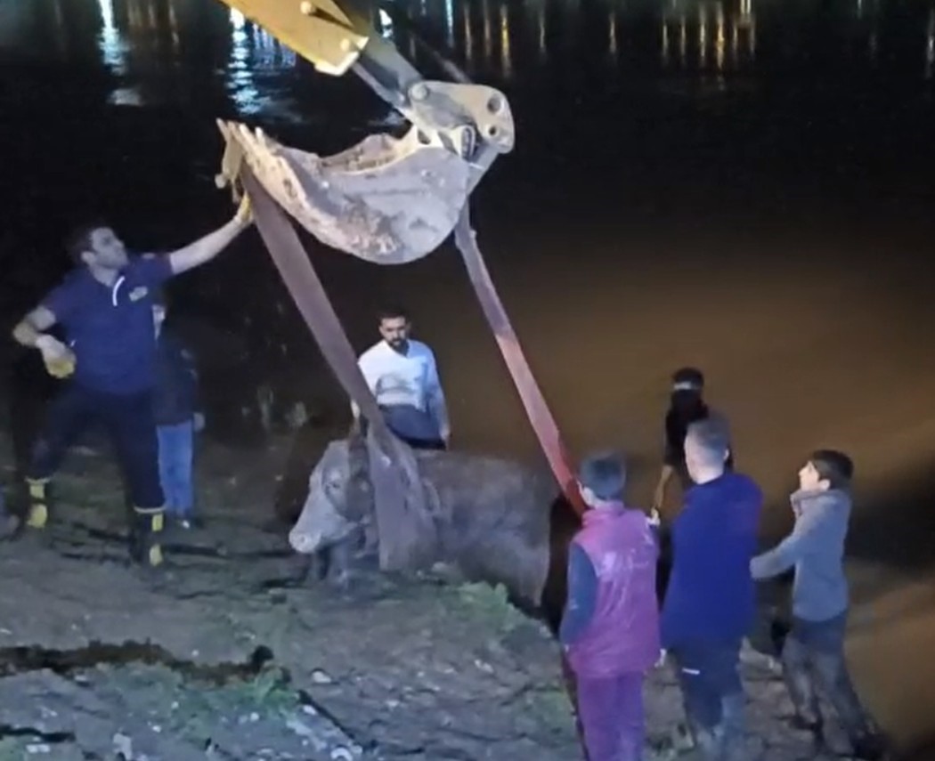 dicle nehrine dusen inegi itfaiye is makinesiyle kurtardi 5 WMXLzWiO