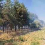 dicle-universitesi-yerleskesinde-ortu-yangini-uSWO1Tty.jpg