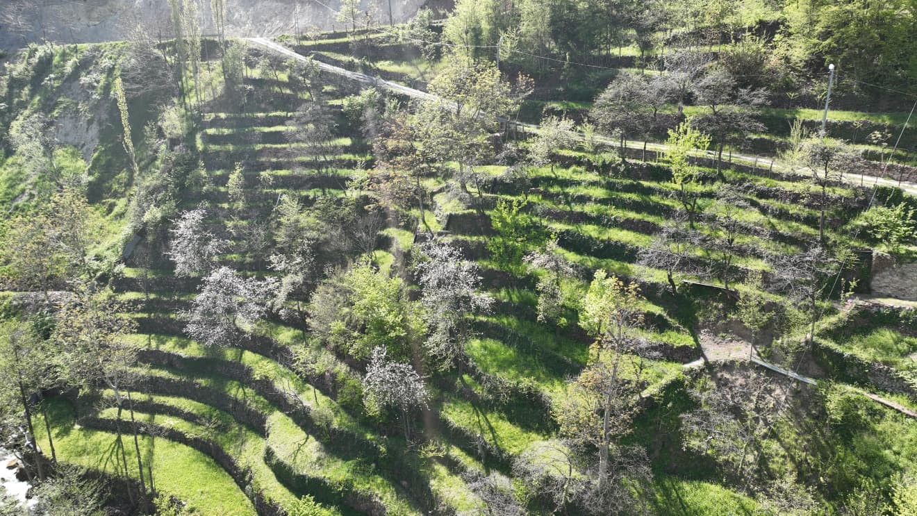 dik yamacta 60 yillik emek tas duvarlarla kurulan miras 0 VKNbF5VE