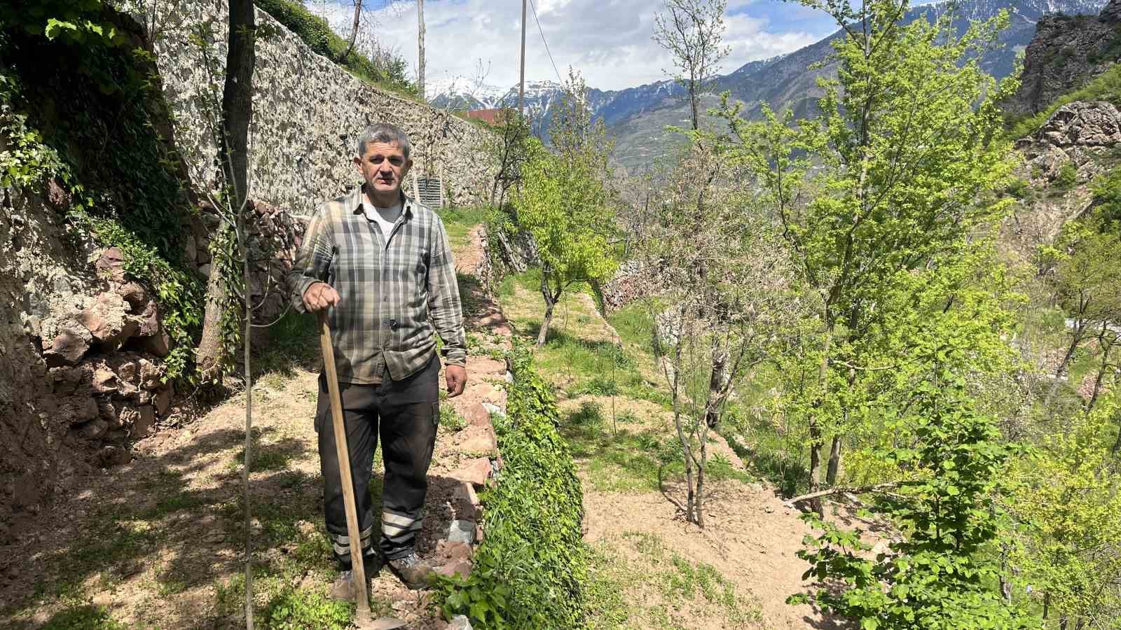 dik yamacta 60 yillik emek tas duvarlarla kurulan miras 3 htHK2BRb