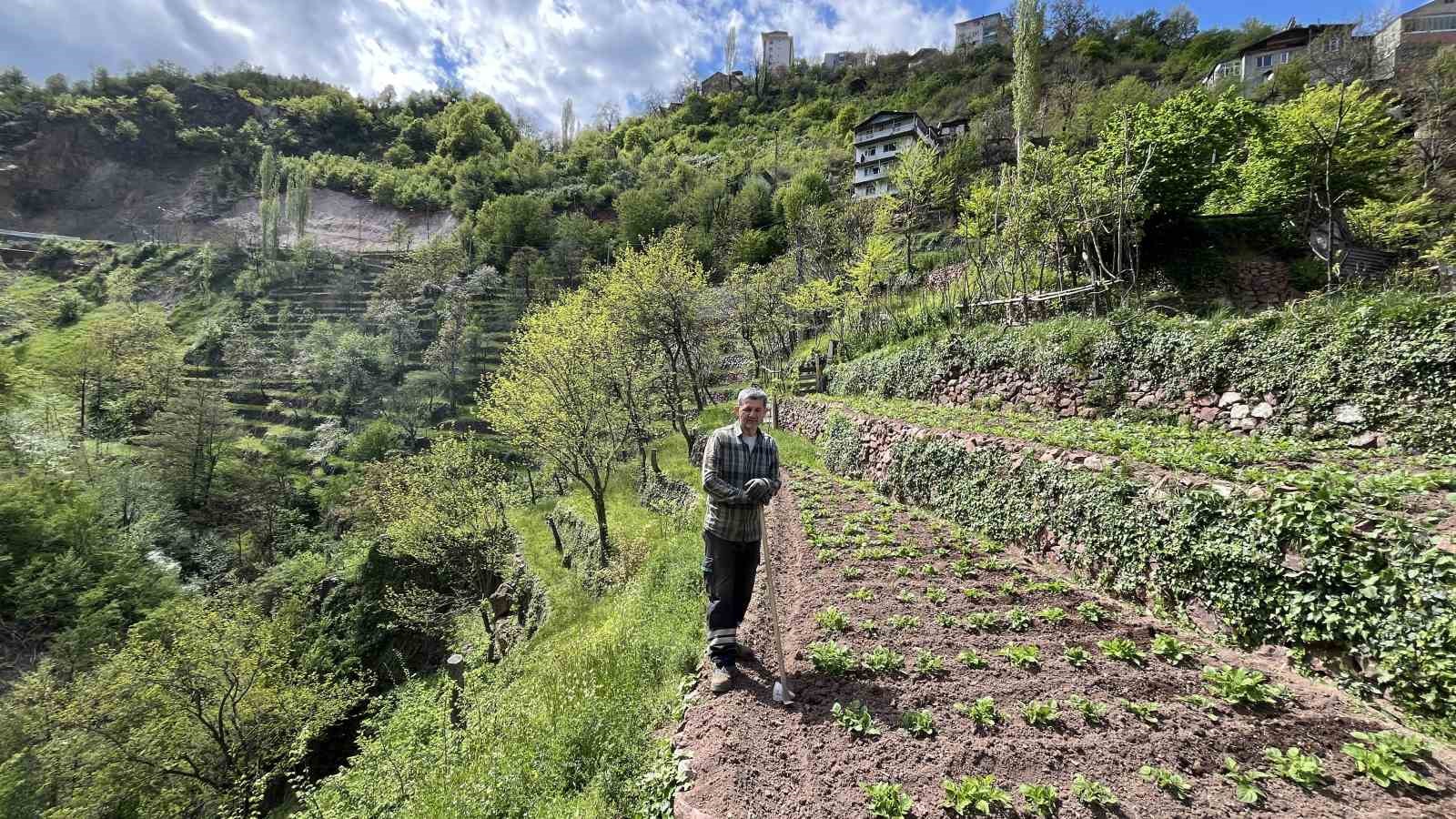 dik yamacta 60 yillik emek tas duvarlarla kurulan miras 5 7FAnHeJ8