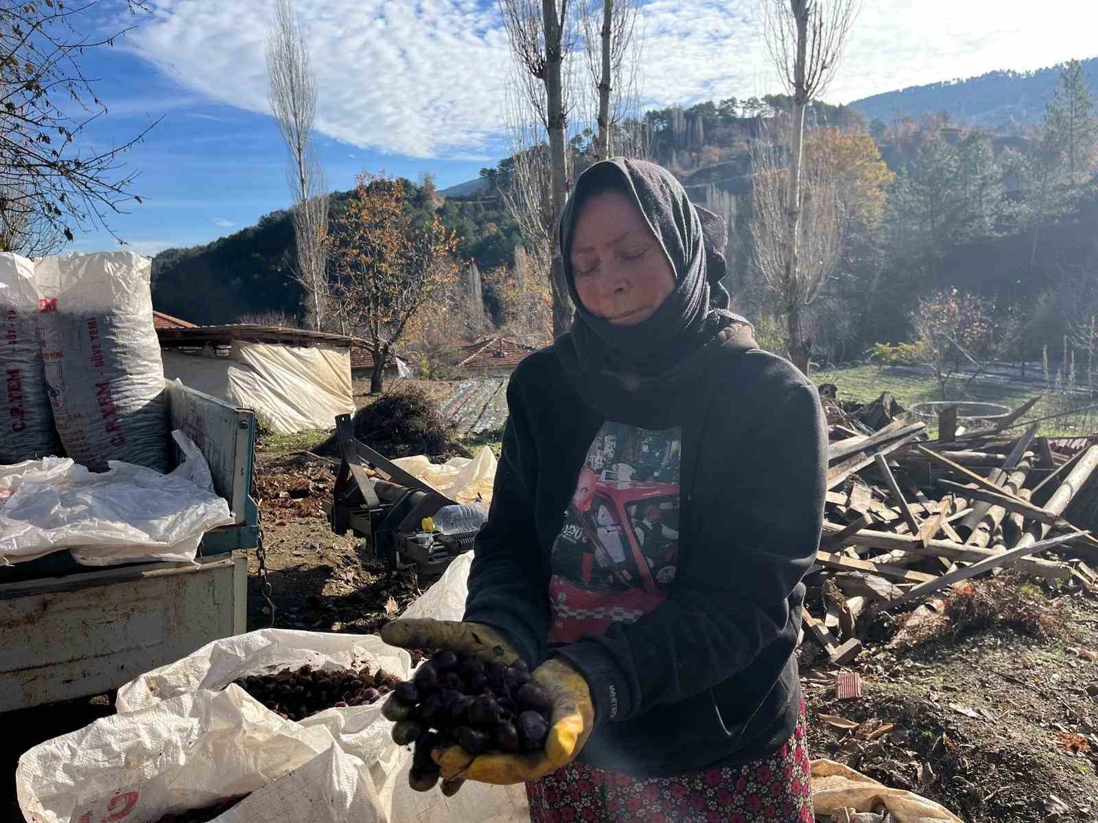 dikenlerinden kurtulan kestanelerin sofralara yolculugu basladi 1 iUASE6SW