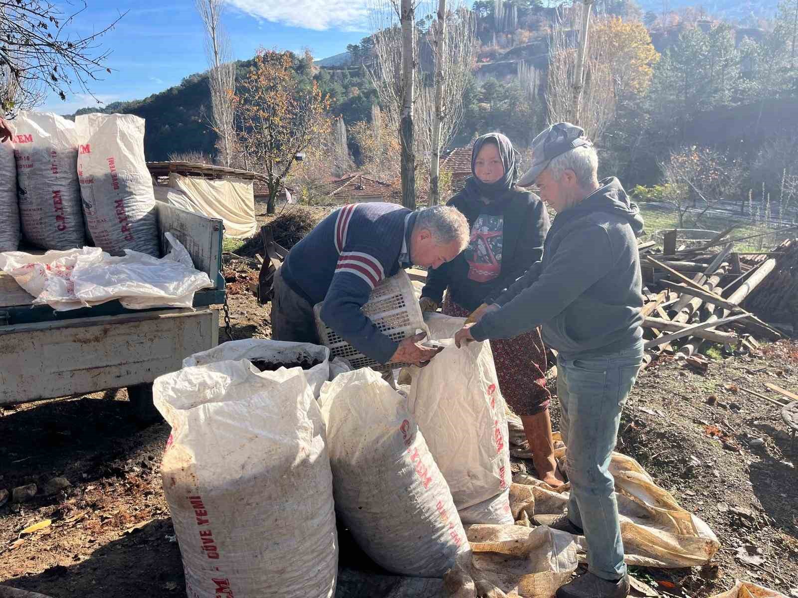 dikenlerinden kurtulan kestanelerin sofralara yolculugu basladi 3 Vnbiplh8