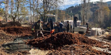 dikenlerinden-kurtulan-kestanelerin-sofralara-yolculugu-basladi-ILx3hzqa.jpg