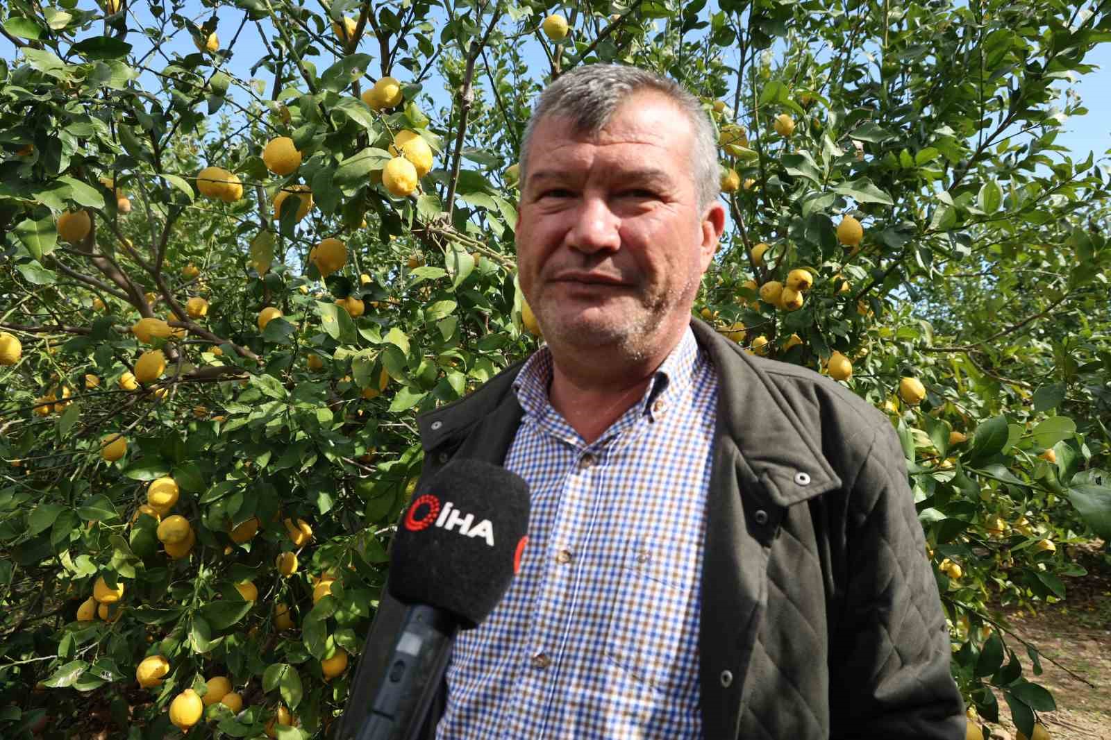dikenli limon ureticinin yuzunu guldurdu 2 syL6lsTP