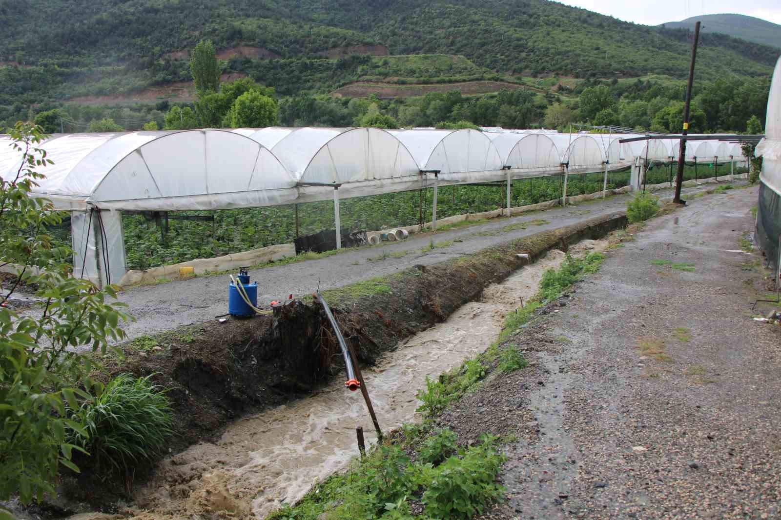 Diktiği binlerce kök fidesi sel sonrası çürüyen çiftçi: "Bu afet Allah’tan geldi, boynumuz kıldan ince" 12 diktigi binlerce kok fidesi sel sonrasi curuyen ciftci bu afet allahtan geldi boynumuz kildan 1tFngJlF