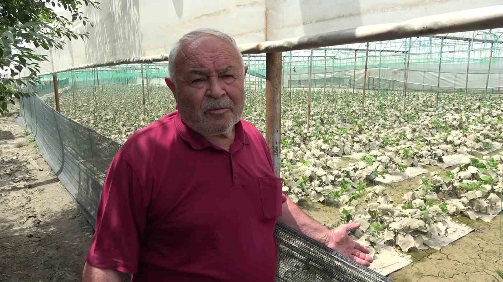 Diktiği binlerce kök fidesi sel sonrası çürüyen çiftçi: "Bu afet Allah’tan geldi, boynumuz kıldan ince" 13 diktigi binlerce kok fidesi sel sonrasi curuyen ciftci bu afet allahtan geldi boynumuz kildan 8tAk6XcF