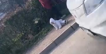 dilenci-kadinlarin-kavgasi-kamerada-kucagindaki-bebek-yere-dustu-85SuPLHy.jpg