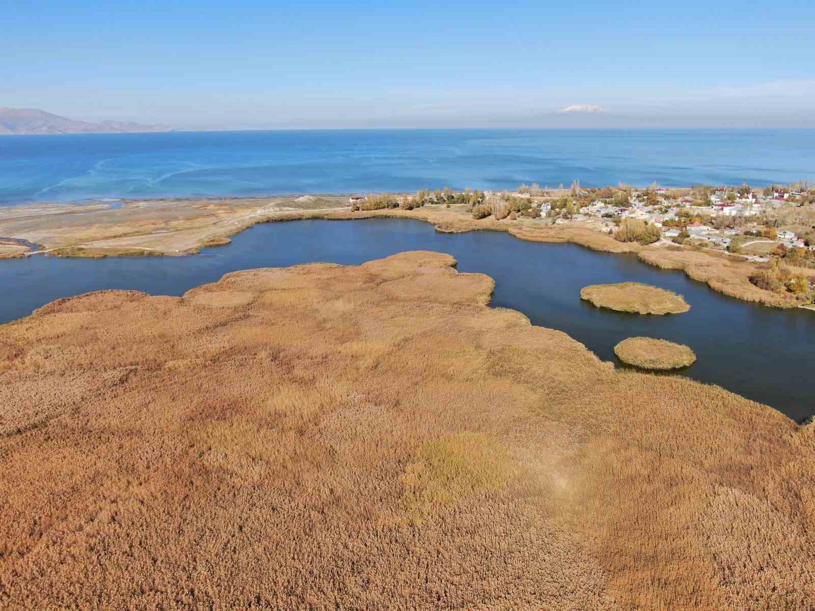 dilkaya deltasinda sonbahar guzelligi 11 zhSaOmUg