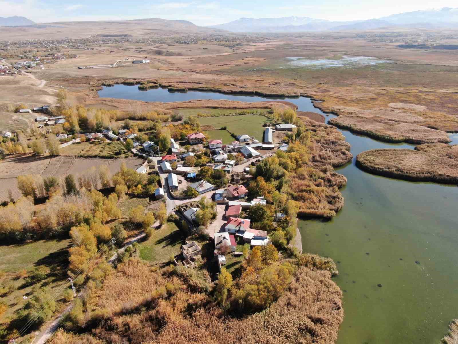 dilkaya deltasinda sonbahar guzelligi 3 uNRJTLPe