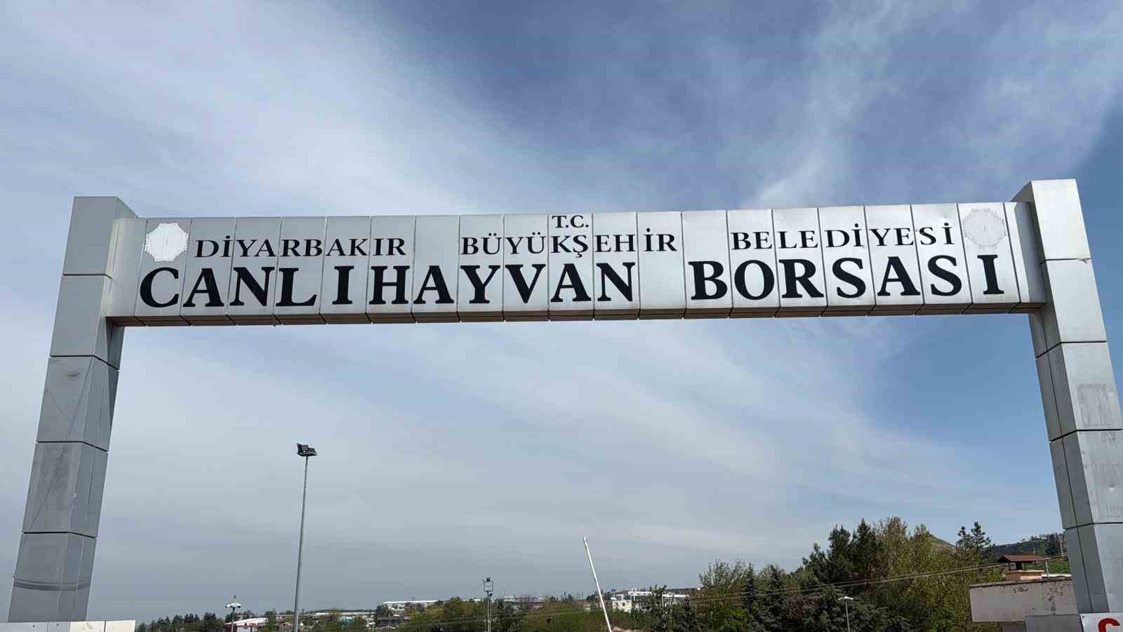 diyarbakir canli hayvan borsasi tadilata alindi 0