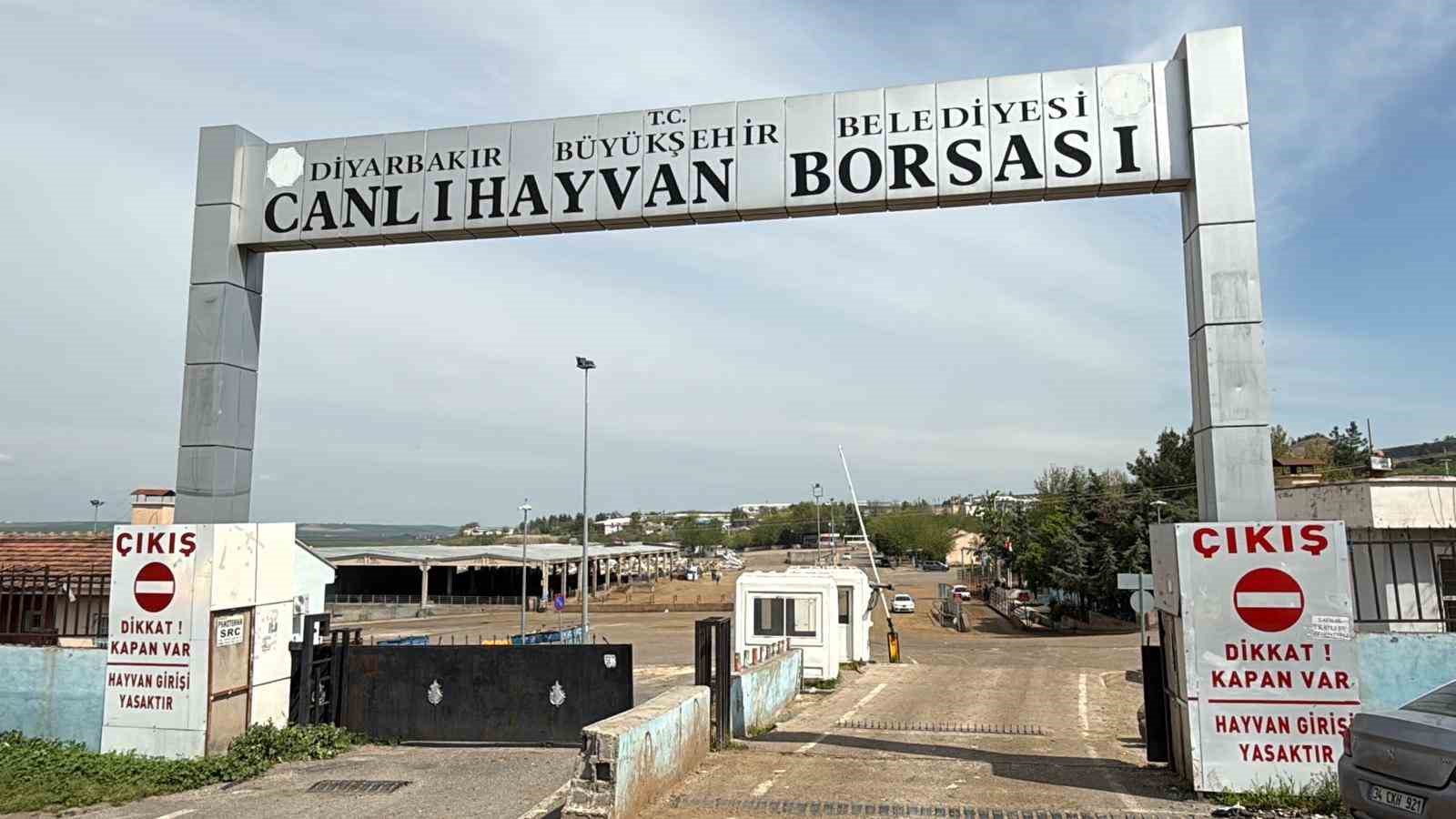diyarbakir canli hayvan borsasi tadilata alindi 4