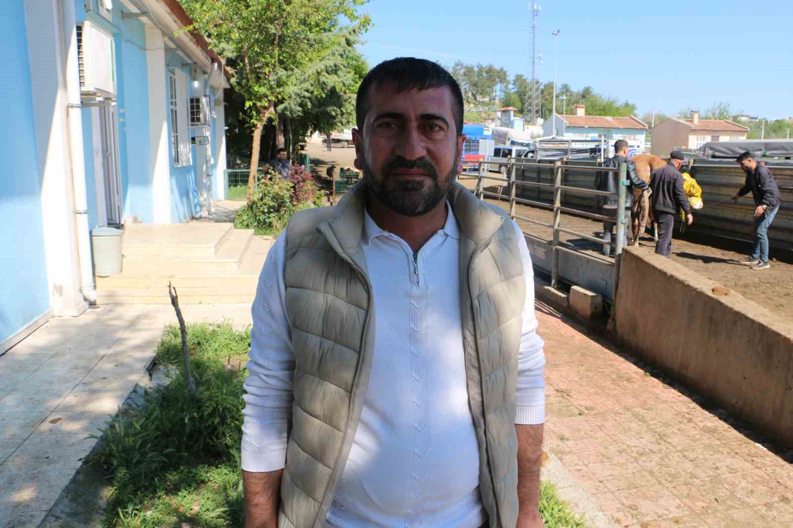 diyarbakir canli hayvan borsasinda kurbanlik hareketliligi 4 Ar2eAwaZ