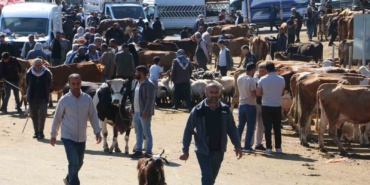 diyarbakir-canli-hayvan-borsasinda-kurbanlik-hareketliligi-h8VvnUpn.jpg