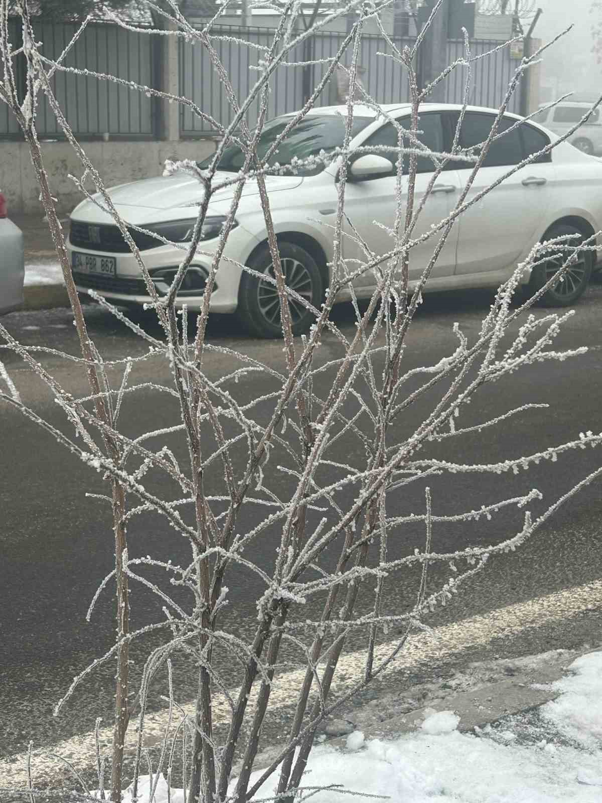 diyarbakir sis denizinde kayboldu ucak seferleri iptal edildi 6 JlBAZcPg