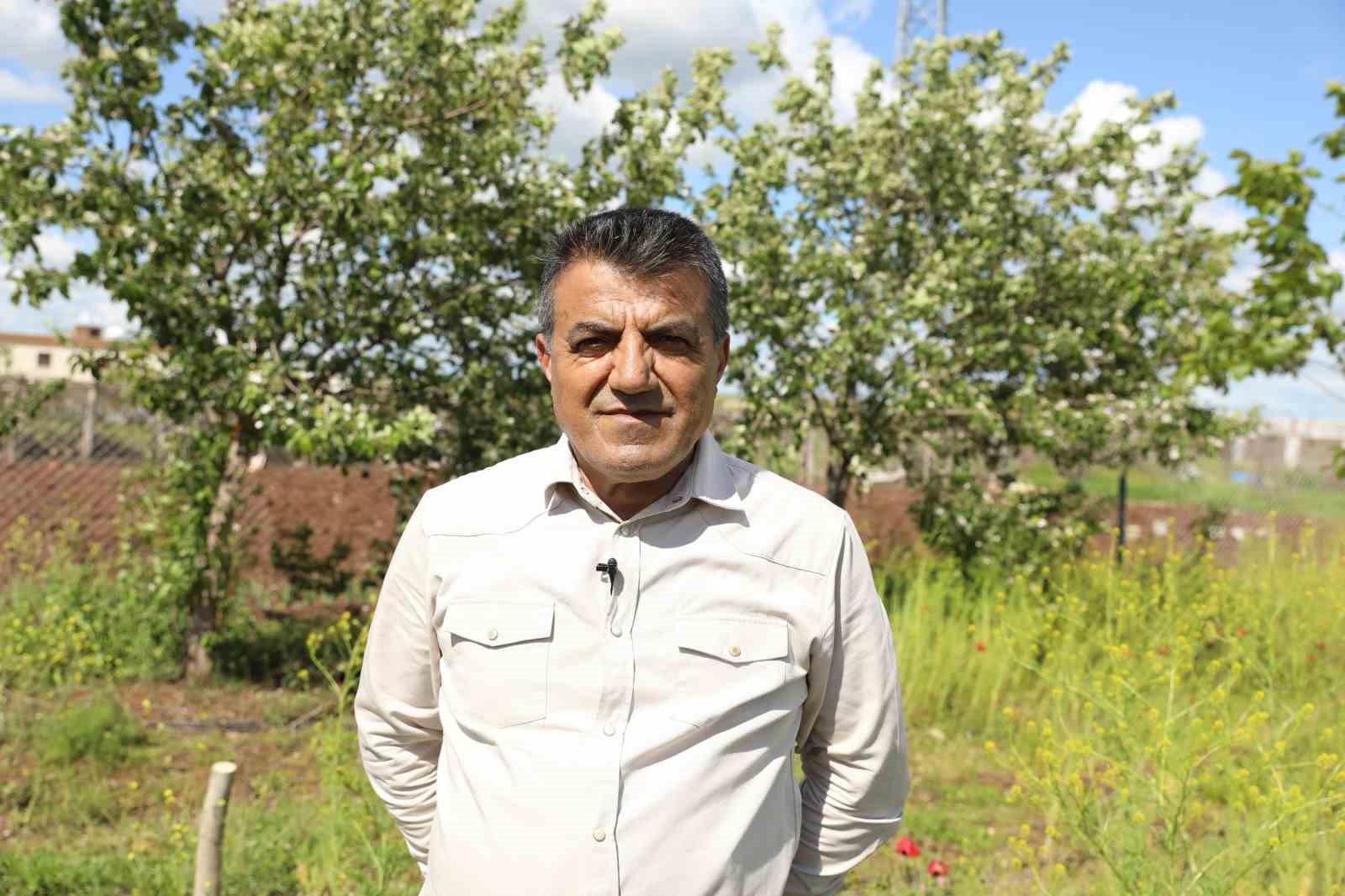diyarbakirda 10 bin yabani ceviz agaci asiyla verimli hale getiriliyor 3 sBQOfq7b
