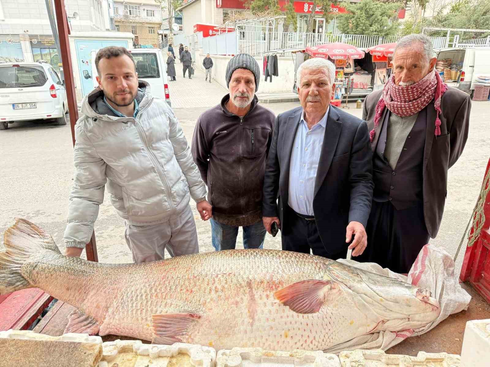diyarbakirda 120 kiloluk turna baligi gorenleri hayrete dusurdu 0 YFAvXSEt