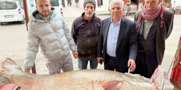 diyarbakirda-120-kiloluk-turna-baligi-gorenleri-hayrete-dusurdu-5CFnI6Vr.jpg