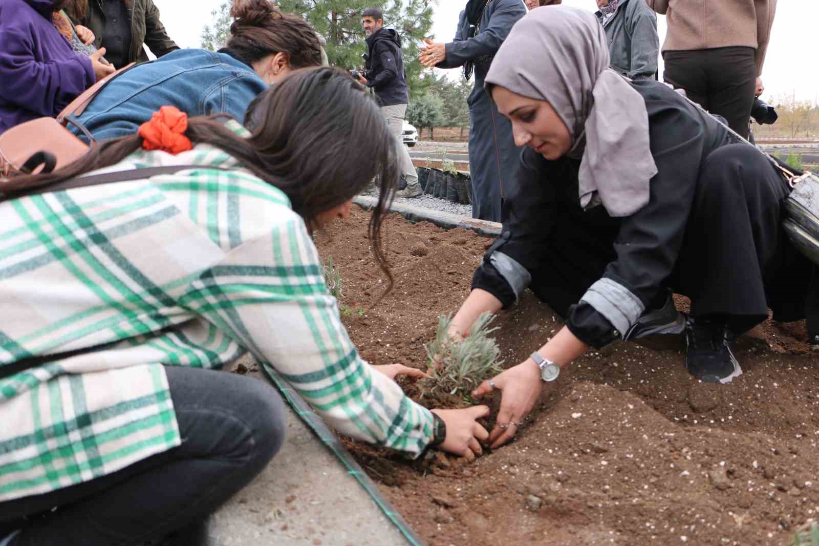 diyarbakirda 14 bin metrekarelik alana tibbi ve aromatik bitki bahcesi kurulacak 10 Qfk32ugM