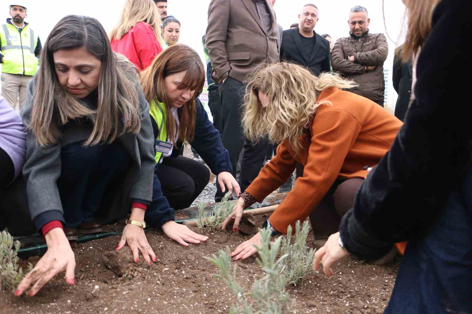 diyarbakirda 14 bin metrekarelik alana tibbi ve aromatik bitki bahcesi kurulacak 9 jqsZrSHM