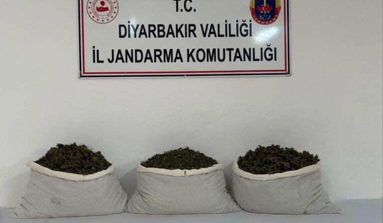 diyarbakirda-15-kilo-skunk-ele-gecirildi-X6iUVUkP.jpg