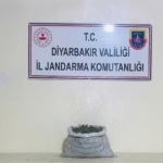 diyarbakirda-19-kilo-800-gram-esrar-ele-gecirildi-R5SGm3dJ.jpg