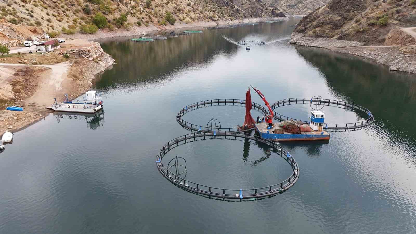 diyarbakirda 500 ton kapasiteli tesisten dunyaya mezopotamya somonu gonderilecek 0 QYyOHFed