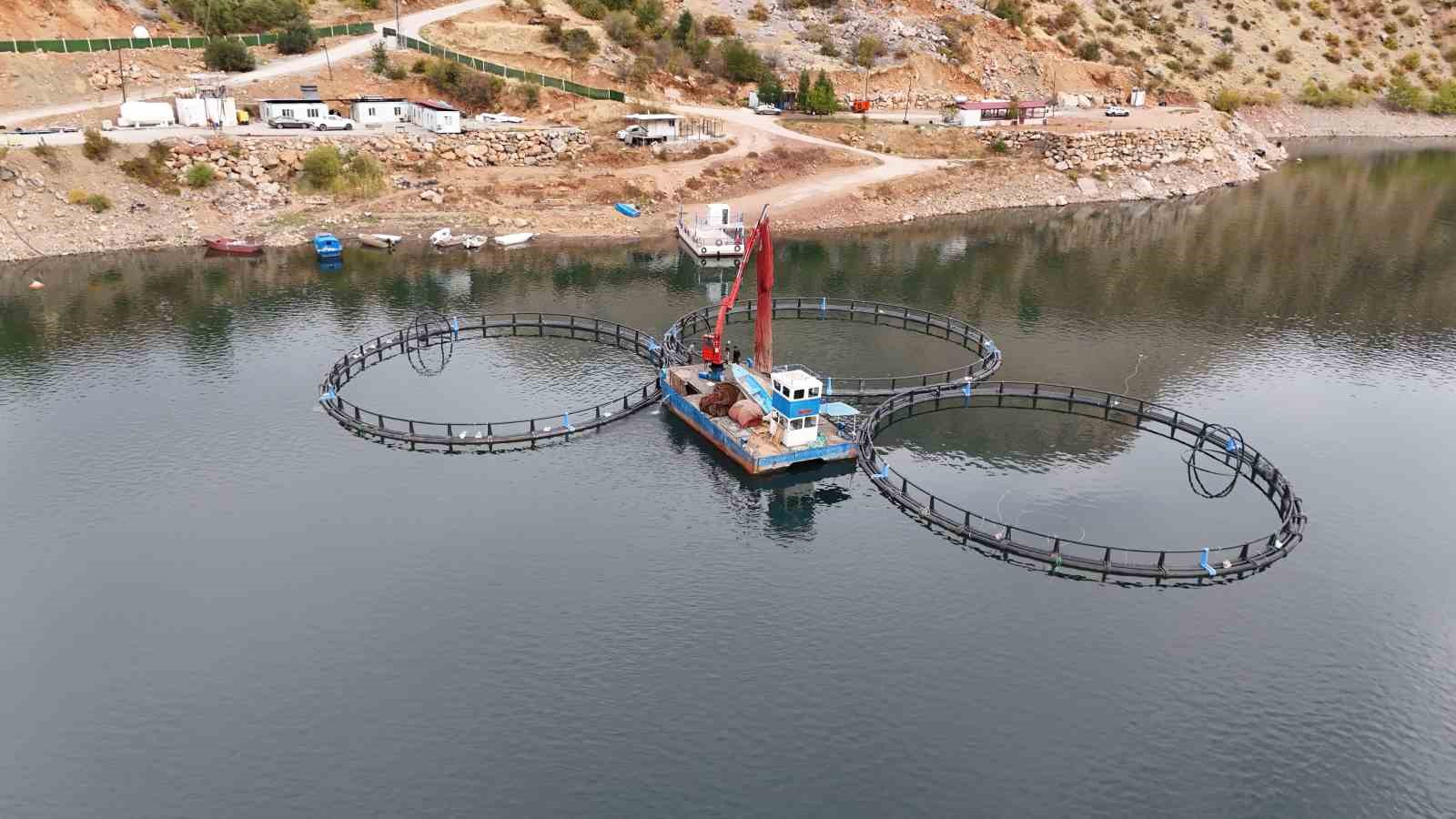 diyarbakirda 500 ton kapasiteli tesisten dunyaya mezopotamya somonu gonderilecek 1 s5tyjM2P