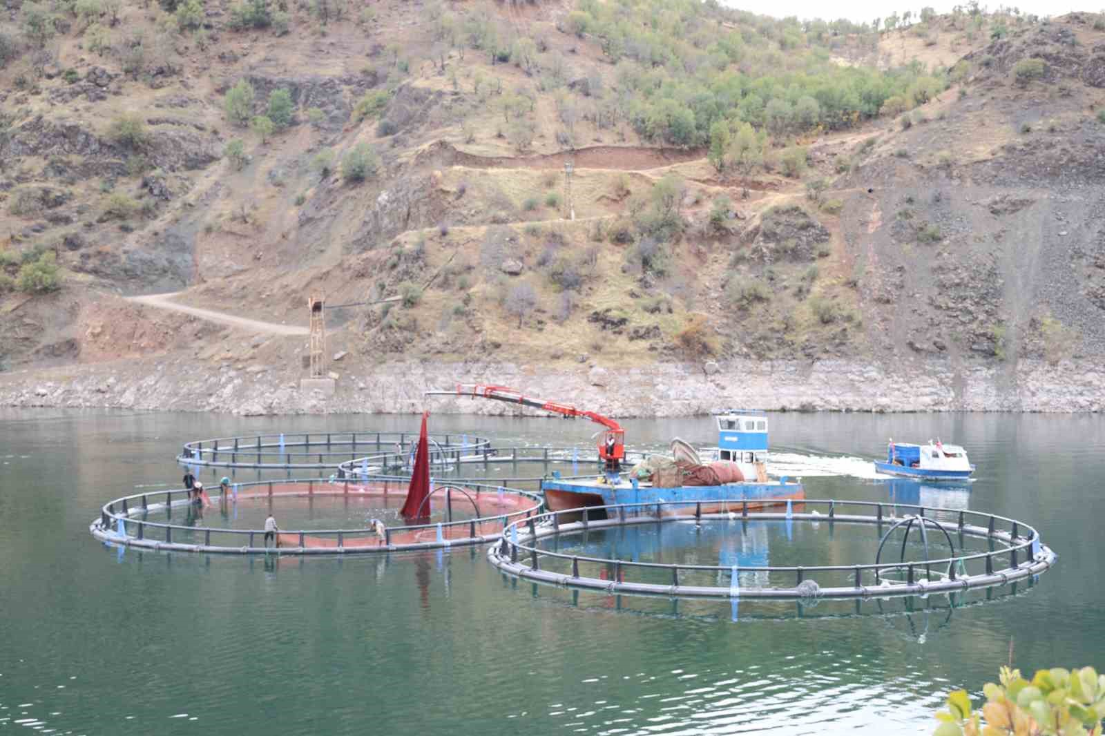 diyarbakirda 500 ton kapasiteli tesisten dunyaya mezopotamya somonu gonderilecek 2 Qpj2ypsb