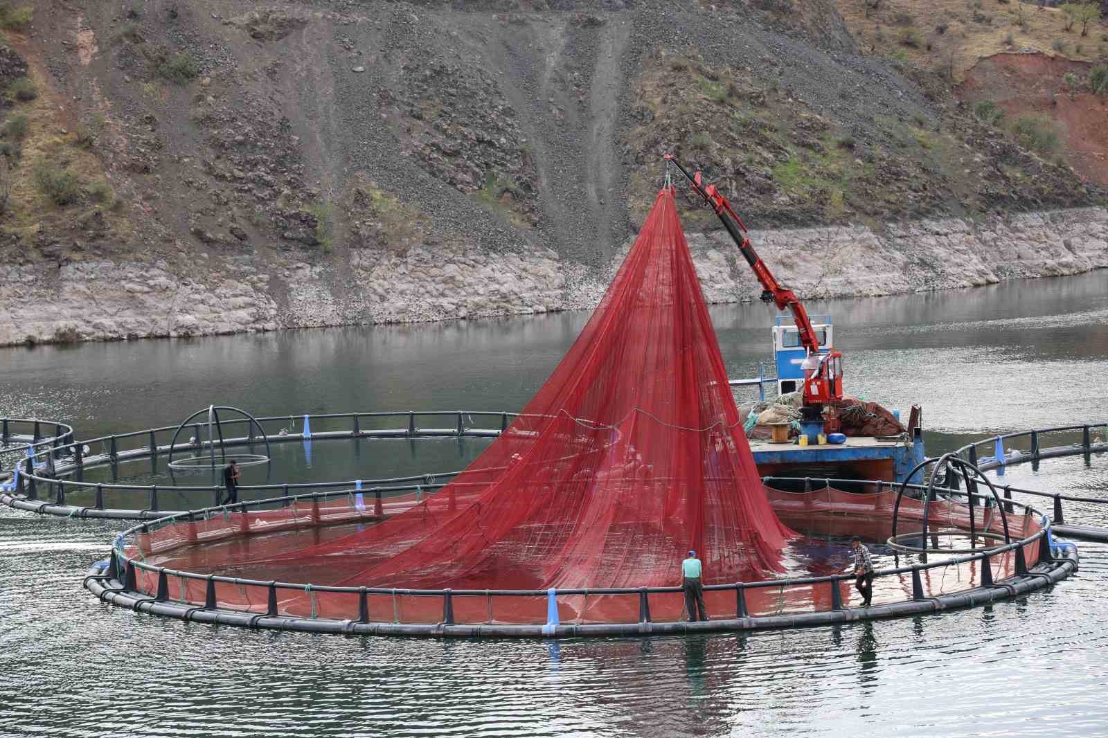 diyarbakirda 500 ton kapasiteli tesisten dunyaya mezopotamya somonu gonderilecek 5 OGsFZJUU