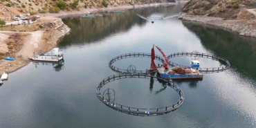 diyarbakirda-500-ton-kapasiteli-tesisten-dunyaya-mezopotamya-somonu-gonderilecek-fZA3iELR.jpg