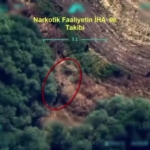diyarbakirda-91-ton-toz-esrar-elde-edilebilecek-387-bin-882-kok-kenevir-ve-skunk-URvWcrnZ.jpg