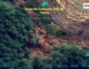 diyarbakirda-91-ton-toz-esrar-elde-edilebilecek-387-bin-882-kok-kenevir-ve-skunk-URvWcrnZ.jpg