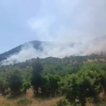 diyarbakirda-agaclik-alanda-yangin-itfaiye-ve-jandarmanin-sondurme-calismalari-suruyor-QrurqrPM.jpg