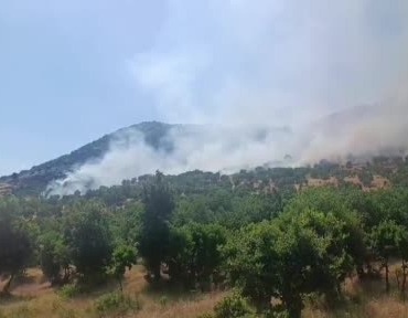 diyarbakirda-agaclik-alanda-yangin-itfaiye-ve-jandarmanin-sondurme-calismalari-suruyor-QrurqrPM.jpg