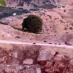 diyarbakirda-domuz-surusu-vpWxaHFP.jpg